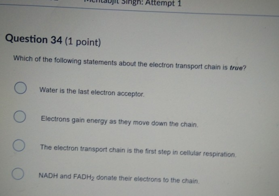 Crauji Jingn: Attempt 1 Question 34 (1 point) Which of the following statements about the electron transport chain is true? W