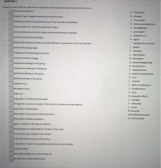 QUESTION 1 Choose the best match for each term or statement. Some answers may be used more than once. Produces endospores A C