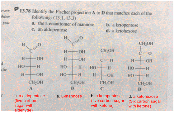 13.78 Identify the Fischer projection A to D that matches each of the following: (13.1, 13.3) a. the L enantiomer of mannose