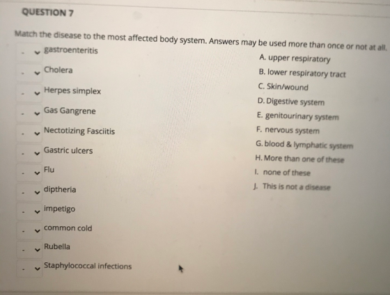 QUESTION 7 Match the disease to the most affected body system. Answers may be used more than once or not at all, gastroenteri