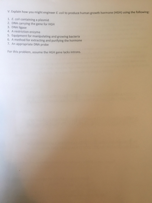 Explain how you might engineer E. coli to produce