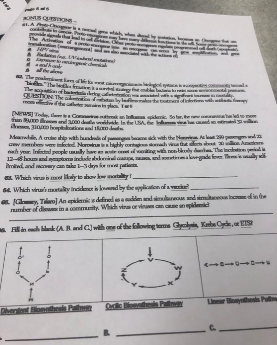page 5 of 6 HONUS QUESTIONS- .A Frote Onassone is a normal e ich contribute to Gancer. Proto-oncogenes may have many differen