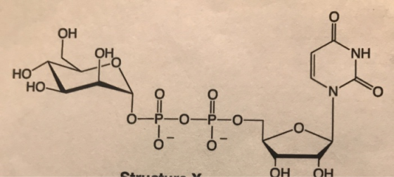 ОН ОН NH HO НО О =0 = 0 д-р-о—р—он о- о- — 0 Онон