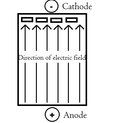 Cathode Direction of electric field +) Anode