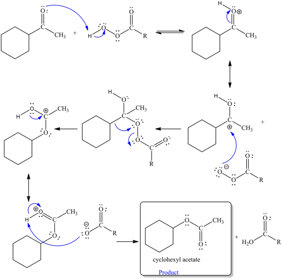 н
CH3
CHз
R
H
Н
.CH3
CH3
Н
CH3
R
.CH3
):
CH3
R
Н-О
cyclohexyl acetate
Product

