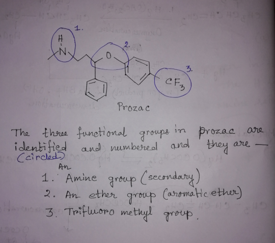 1. 3. CF Prozac in groups identified and numbereol and they are- The thoree funetional Prozac are Ccircled) group (secondary)