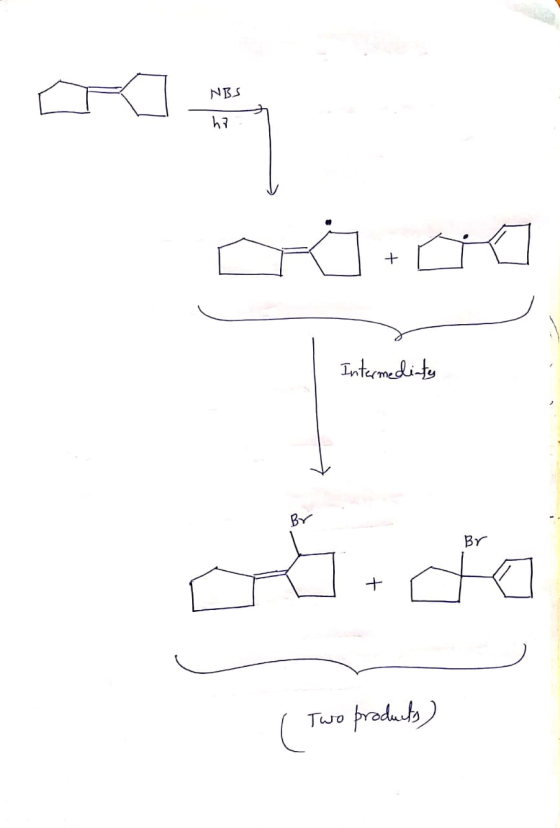 NBS hz Intermediaty Br (Two products)