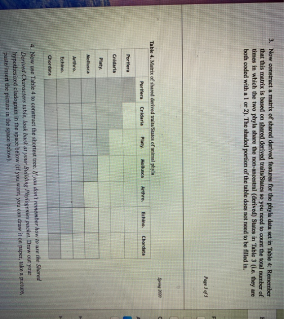 3. Now construct a matrix of shared derived features for the phyla data set in Table 4: Remember that this matrix is based on