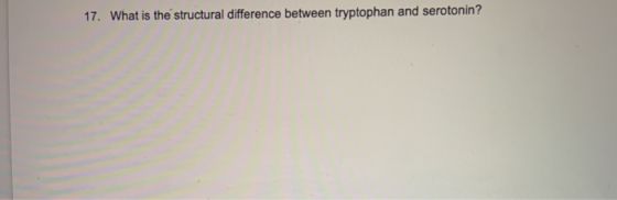 17. What is the structural difference between tryptophan and serotonin?