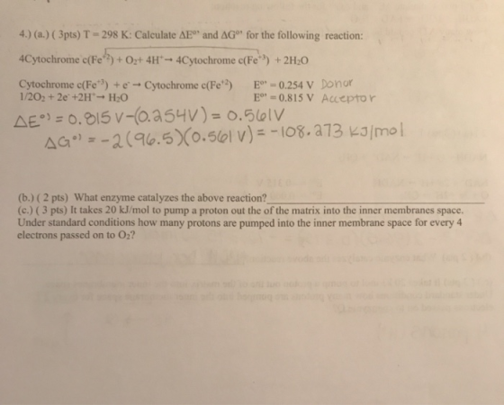 4.) (a.) ( 3pts) T = 298 K: Calculate AE® and AG for the following reaction: 4Cytochrome (Fe) + O2+ 4H-4Cytochrome (Fe) + 2H