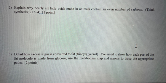 2) Explain why nearly all fatty acids made in animals contain an even number of carbons. (Think synthesis; 2+3-4). [1 point]