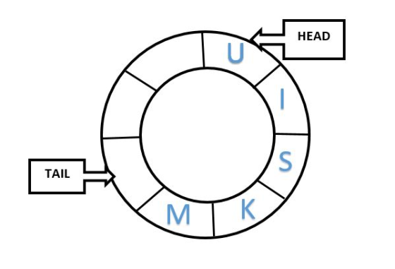 HEAD TAIL