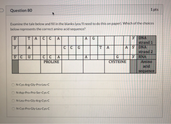 Question 80 1 pts Examine the tale below and fill in the blanks (youll need to do this on paper), Which of the choices below