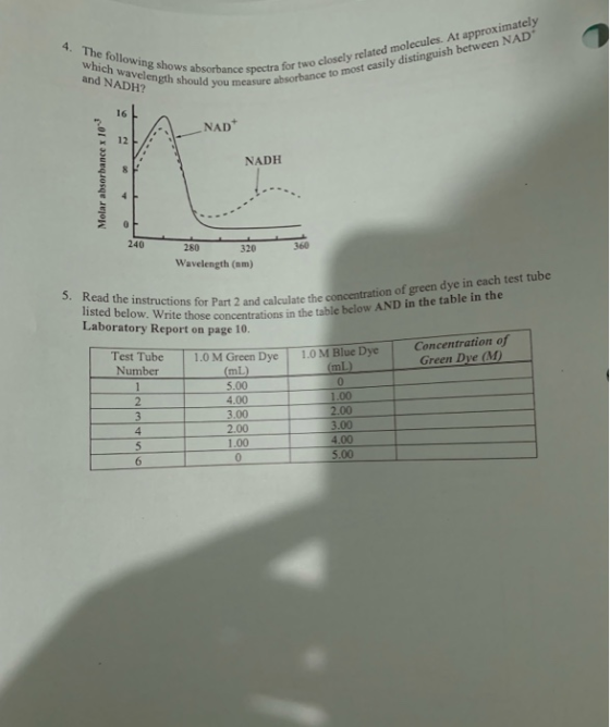4. The following shows absorba which wavelength should you meas and NADH? tra for two closely related molecules. At approxima