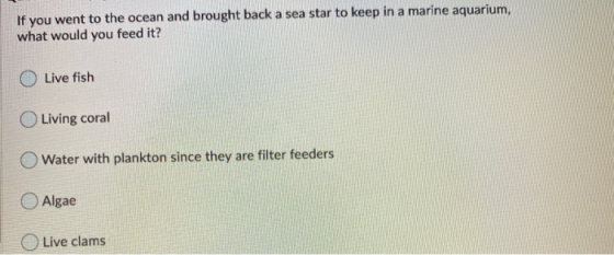 If you went to the ocean and brought back a sea star to keep in a marine aquarium, what would you feed it? Live fish Living c