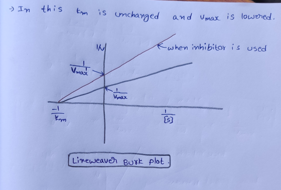 - In this km is unchanged and Umax is lowered. when when inhibitor is used Vmax Vmax - km [s] Lineweaver Burk plot