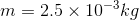 m=2.5 \times 10^{-3} kg