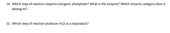 14. Which step of reaction requires inorganic phosphate? What is the enzyme? Which enzyme category does it belong to? 15. Whi
