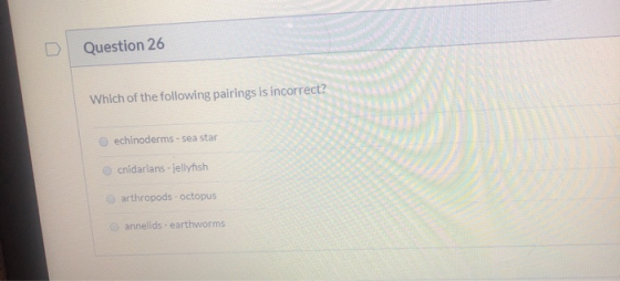Question 26 Which of the following pairings is incorrect? echinoderms - sea star cnidarians - jellyfish arthropods - octopus