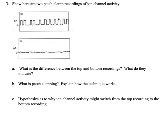 3. Show here are two patch clamp recordings of ion channel activity: Da Inn minn a. What is the difference between the top an
