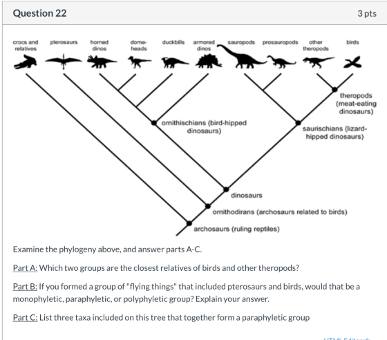 Question 22 3 pts pterosaurs horned dinos duckbills crocs and relatives sauropods prosauropods dome heads armored dinos other