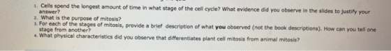 1. Cells spend the longest amount of time in what stage of the cell cycle? What evidence did you observe in the slides to jus