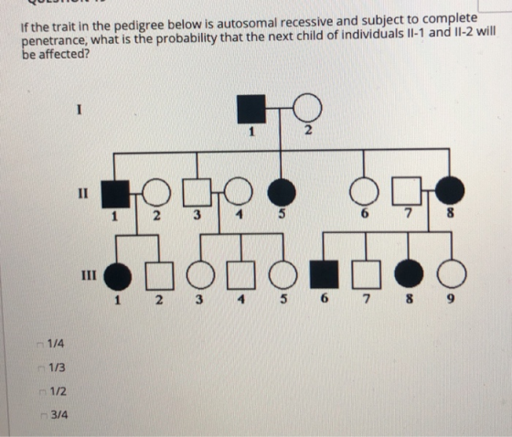 If the trait in the pedigree below is autosomal recessive and subject to complete penetrance, what is the probability that th