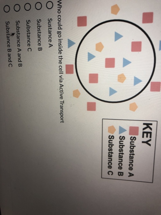KEY Substance A Substance B Substance C Who could go inside the cell via Active Transport Sustance A O Substance B Substance