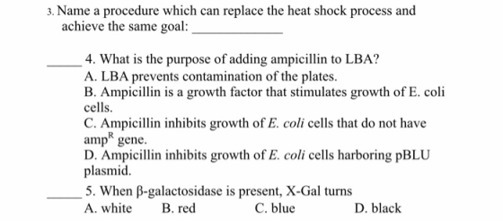 3. Name a procedure which can replace the heat shock process and achieve the same goal: 4. What is the purpose of adding ampi