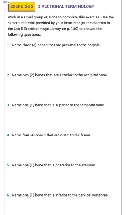 127 EXERCISE 3 DIRECTIONAL TERMINOLOGY Work in a small group or alone to complete this exercise. Use the skeletal material pr