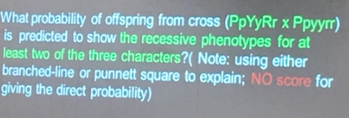 What probability of offspring from cross (PpYyRr x Ppyyrr), is predicted to show the recessive phenotypes for at least two of