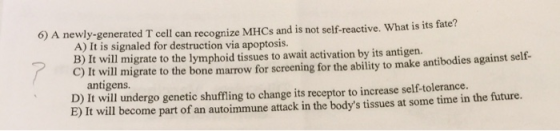 6) A newly-generated T cell can recognize MHCs and is not self-reactive. What is its fate? A) It is signaled for destruction
