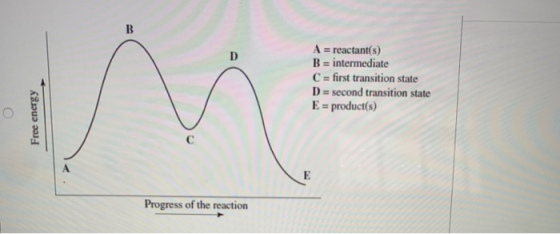 A = reactant(s) B = intermediate C = first transition state D = second transition state E = product(s) Free energy Progress o