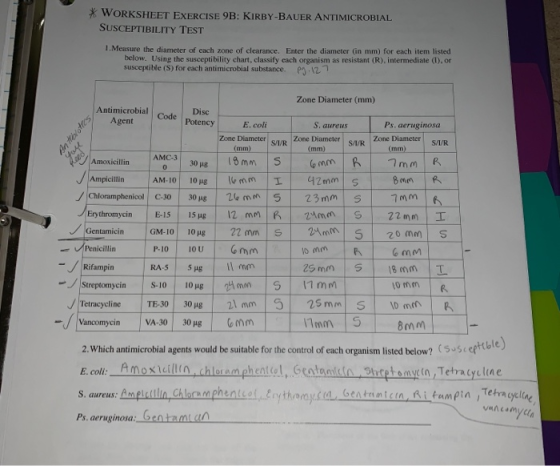 * WORKSHEET EXERCISE 9B: KIRBY-BAUER ANTIMICROBIAL SUSCEPTIBILITY TEST 1. Measure the diameter of each one of clearance. Ente