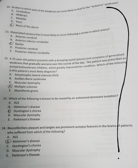 10. Strokes in which part of the hindbrain A. Cerebellum B. Midbrain C. Medulla D. Pons most in are most likely to lead to the locked in syndrome? None of the above 11. Dissociated sensory loss is to o A. Anterior cerebral B. Anterior inferior cerebellar O Basilar ost likely to occur following a stroke in which artery? D. Posterior cerebral E. Posterior inferior cerebellar s with a drooping eyelid (ptosis) and complains of generalized sens over the course of the day. The patient was prescribed an r, which greatly improved her condition. Which of the followin 12. A 25 year old patient presents drooping eye acetylcholinesterase inhibito is this patients most likely diagnosis? A. Amyotrophic lateral sclerosis (ALS) B. Guillain-Barre syndrome C. Muscular dystrophy Multiple sclerosis E. Myesthenia gravis 13. Whic h of the following is known to be caused by an autosomal dominant mutation? A. ALS B. Alzheimers disease Huntingtons chorea D. Muscular dystrophy E. Parkinsons Disease 14. Neurofibrillary plaques and tangles are prominent autopsy features in the brains of patient who suffered from which of the following? A. ALS B Alzheimers disease C. Huntingtons chorea D. Muscular dystrophy E. Parkinsons Disease