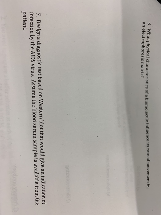 6. What physical characteristics of a biomolecule influence its rate of movement in an electrophoresis matrix? 7. Design a diagnostic test based on Western blot that would give an indication of infection by the AIDS virus. Assume the blood serum sample is available from the patient.