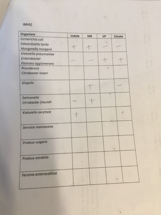 IMVIC Indole MR VP Citrate + + Organism Escherichia coli Edwardsiella tarda Morganella morganii Klebsiella pneumoniae Enterob