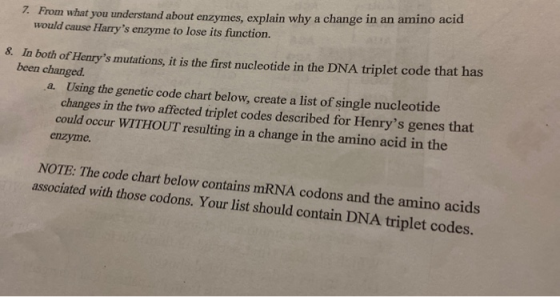 7. From what you understand about enzymes, explain why a change in an amino acid would cause Harrys enzyme to lose its funct
