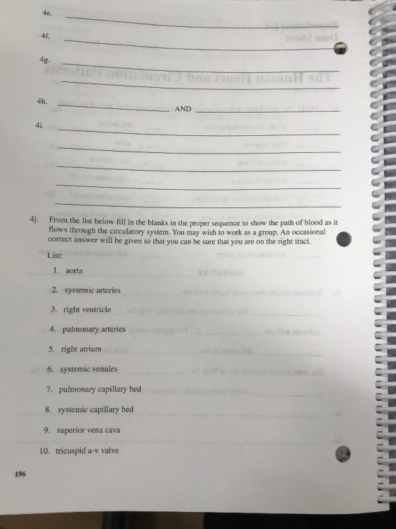 AND SUUUUUUUUUUUUUUUUUUU 43. From the list below fill in the blanks in the proper sequence to show the path of blood as it Tl