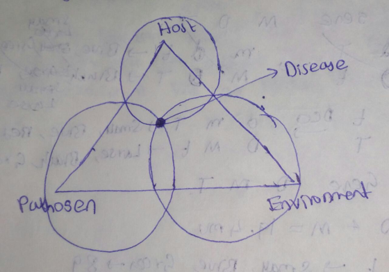 Host Diseose Puthosen