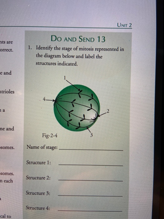 UNIT 2 nts are orrect. Do and Send 13 1. Identify the stage of mitosis represented in the diagram below and label the structu
