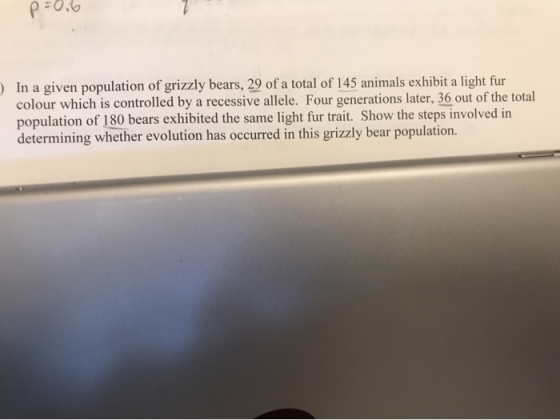 P-0.6 In a given population of grizzly bears, 29 of a total of 145 animals exhibit a light fur colour which is controlled by