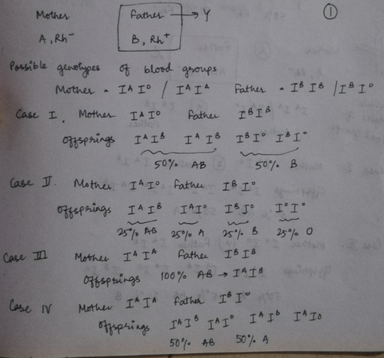 Mother father AY A, Rh- B, Rht IBIB 50% B Possible genotypes of blood groups Mother IA IO IAIA father - IB IB IBI Case I Mot