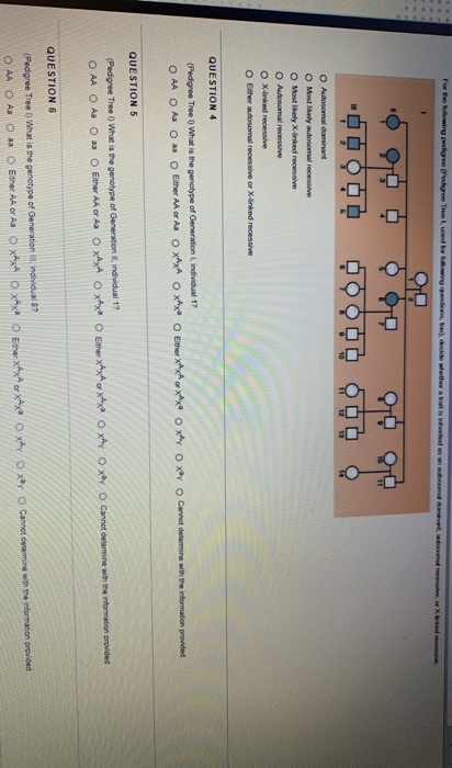 *960 OOO OO O Autosomal dominant Most likely autosomal recessive O Most likely X-linked recessive O Autosomal recessive O X-l