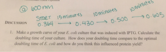 minutes es ominues → 0.500-→ 0.uo5 SroeT 15 minutr DISCUSSION o.3叫ー→0.430- I. Make a growth curve of your E. coli culture that was induced with IPTG. Calculate the doubling time of your culture. How does your doubling time compare to the optimal doubling time of E. coli and how do you think this influenced protein yield?