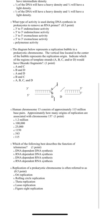 have intermediate density %of the DNA will have a heavy density and % will have a light density t% of the DNA will have a hea