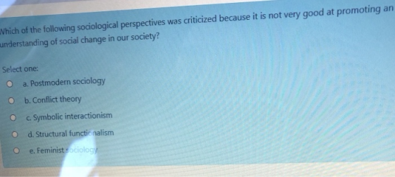 Which of the following sociological perspectives was criticized because it is not very good at promoting an understanding of