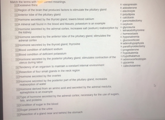 Match the terms with their correct meanings ]Excessive thirst Region of the brain that produces factors to stimulate the pituitary gland Anterior lobe of the pituitary gland Hormone secreted by the thyroid gland; lowers blood calcium A mineral salt found in the blood and tissues; potassium is an example A vasopressin B aldosterone C electrolyte D polydipsia E calcitonin F pancreatectomy G oxytocin Hormone secreted by the adrenal cortex; increases salt (sodium) reabsorption by Hglycosuria the kidney Hormone secreted by the anferior lobe of the pituitary gland; stimulates the Khyponatremia l tetraiodothyronine J homeostasis adrenal cortex Hormone secreted by the thyroid gland; thyroxine Blood condition of deficient sodium Blood condition of deficient potassium Hormone secreted by the posterior pituitary gland; stimulates contraction of the Qhypothalamus L glucocorticoid M adenohypophysis N parathyroidectomy o progesterone P hypokalemia R adrenocorticotropin s glycemia T catecholamine uterus during labor Tendency of an organism to maintain a constant internal environment Resection of four small glands in the neck region Hormone secreted by the ovaries Hormone secreted by the posterior part of the pituitary gland; increases reabsorption of water Hormone derived from an amino acid and secreted by the adrenal medulla epinephrine is an example Type of hormone secreted by the adrenal cortex; necessary for the use of sugars, fats, and proteins Condition of sugar in the blood Sugar present in the urine Resection of a gland near and behind the stomach