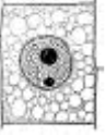 media%2F505%2F5053a05e-d21f-43f5-9277-6c