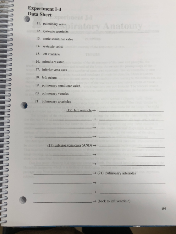 Experiment 1-4 Data Sheet 11. pulmonary veins 12. systemic arterioles 13. aortic semilunar valve 14. systemic veins 15. left